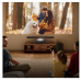 PT1 Hisense 80''-150'' INCH 4K TriChroma Laser Cinema 